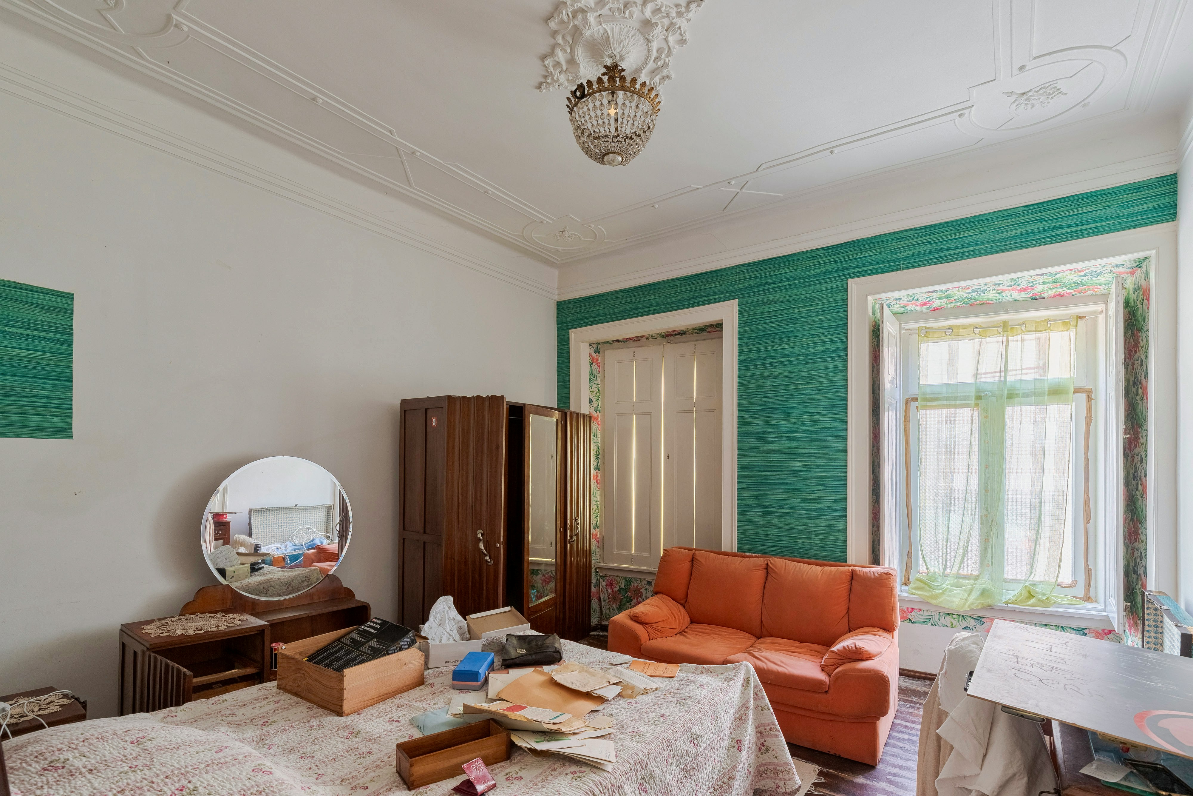 Should You Declutter or Organize First?